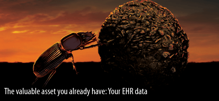 The valuable asset you already have: Your EHR data